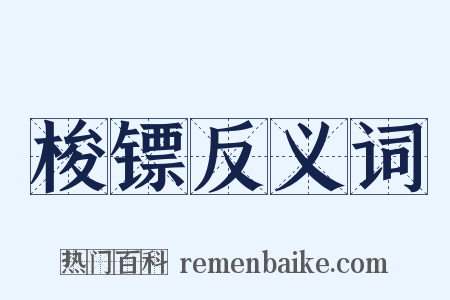 梭镖反义词是什么意思的图片